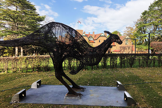 Kangaroo scultpure on UNE Armidale Campus.