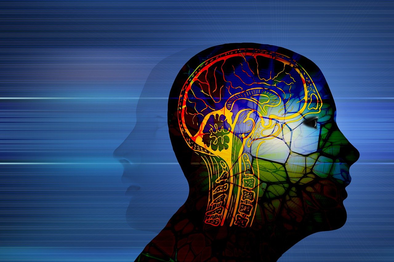 2025 TRIMESTER 2 NEUR233/NEUR533 | UNE myLearn